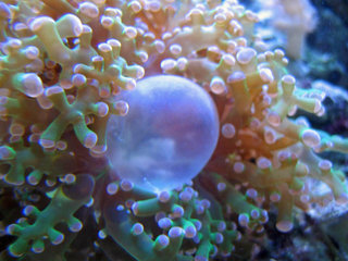 IMG_2571_edited-1.JPG